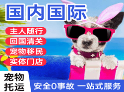 舟山空运代理国际宠物托运 【国